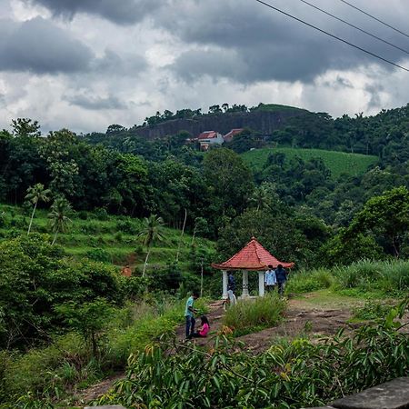 Aruvikuzhy Waterfalls Villa Kozhancheri Buitenkant foto