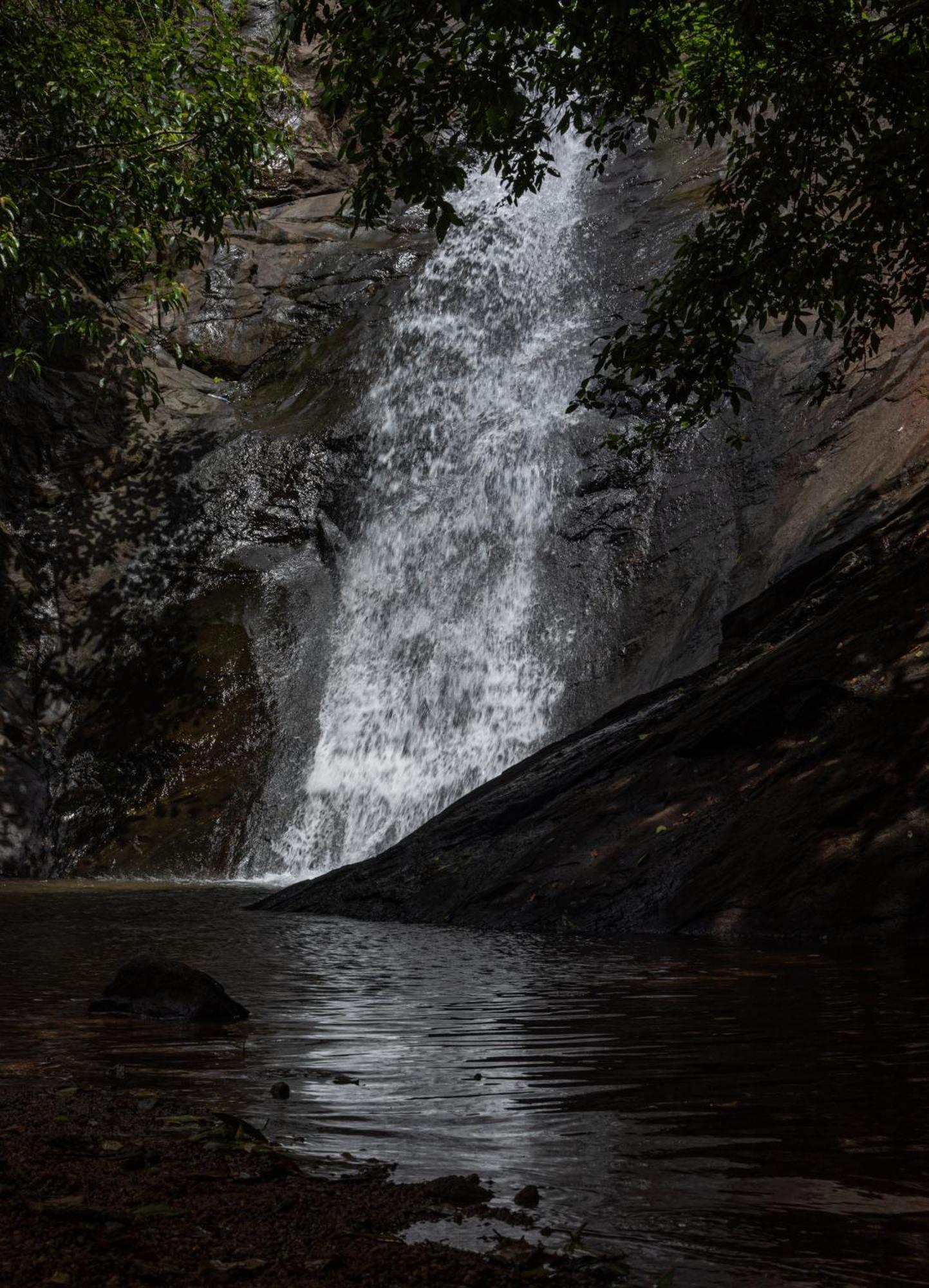 Aruvikuzhy Waterfalls Villa Kozhancheri Buitenkant foto